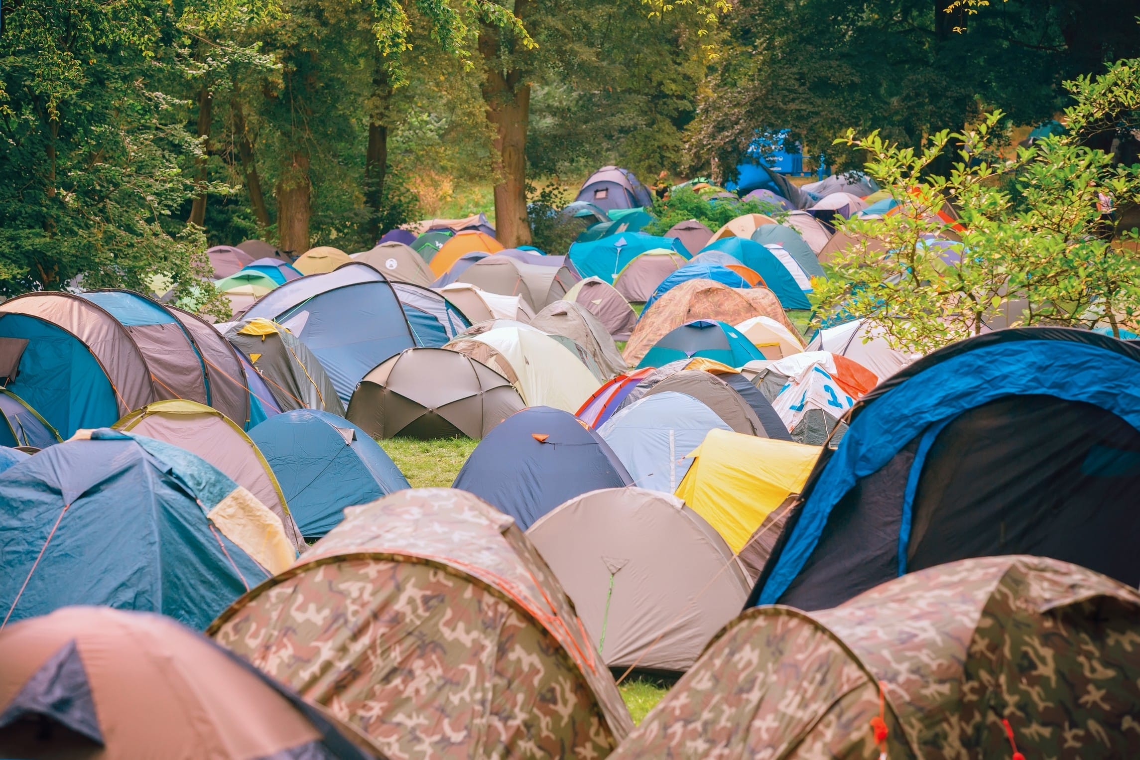 Festival forest campsite